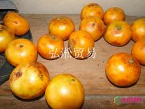 所有产品